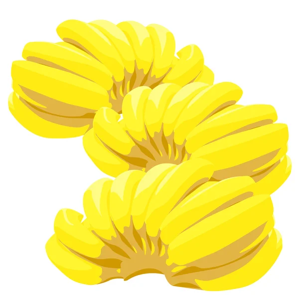 Tres racimos de plátanos aislados sobre fondo blanco — Foto de Stock
