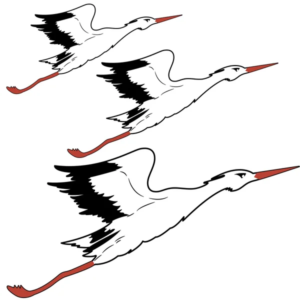 White Stork in flight illustration. — Zdjęcie stockowe