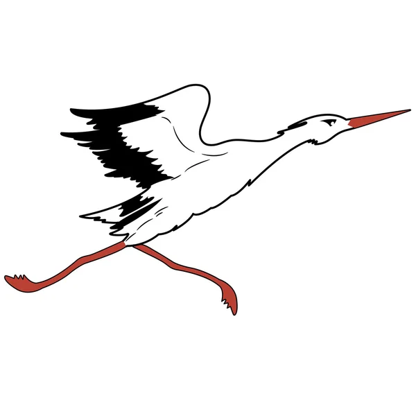 White Stork in flight illustration. — 图库照片