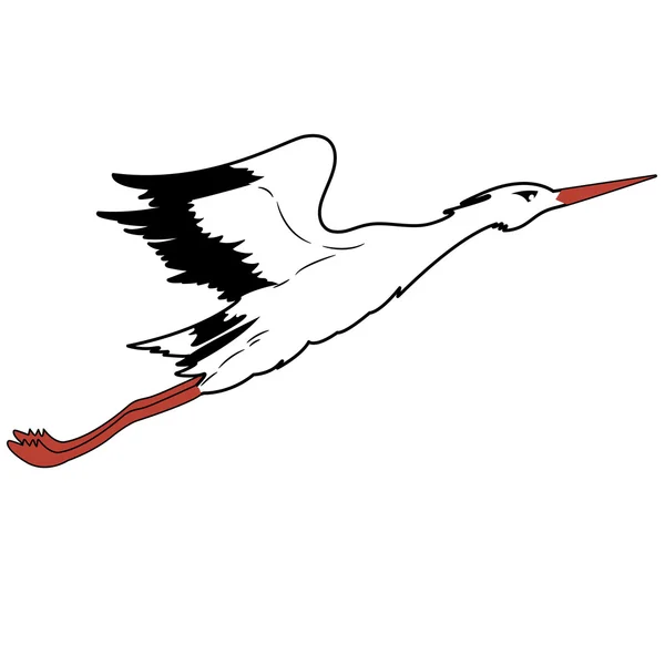 White Stork in flight illustration. — 图库照片