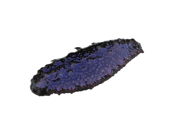 Trepang (holothuroidea, stychopus, cucumaria), deniz omurgasız — Stok fotoğraf