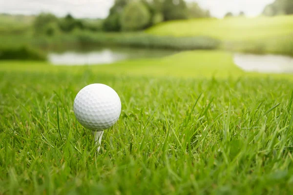 Golf labda a pályán — Stock Fotó