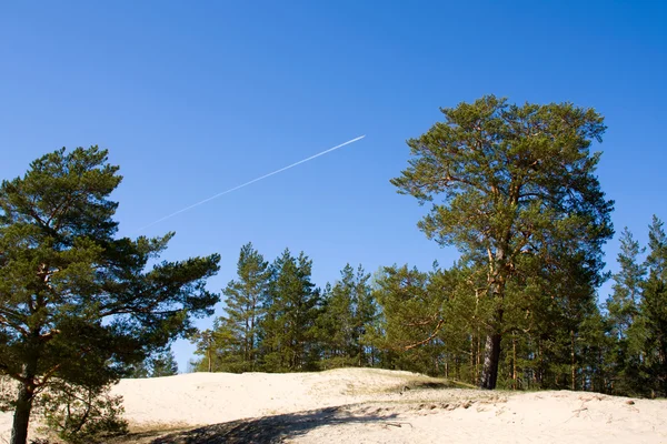 Λιθουανία καλοκαίρι γης ουρανού ορίζοντα — Φωτογραφία Αρχείου