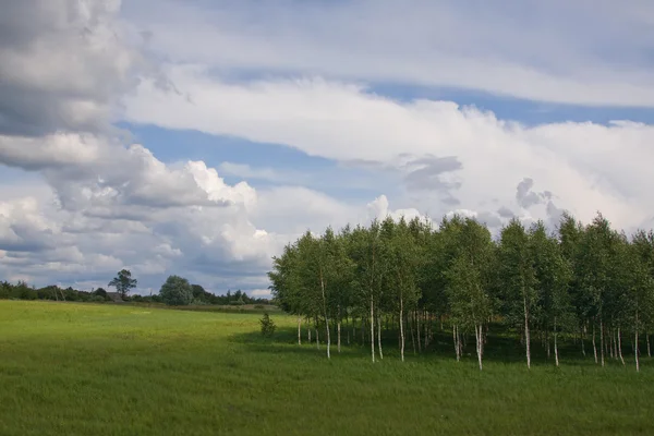 리투아니아 여름 땅 하늘 수평선 — 스톡 사진
