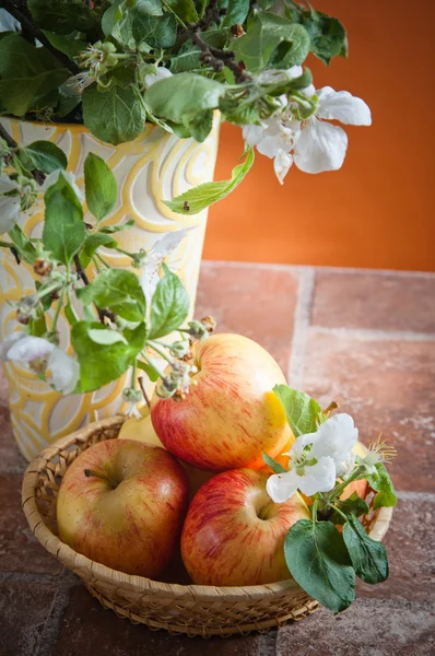 Beautiful ripe apples and branches of a blossoming apple-tree in — Stock Photo, Image
