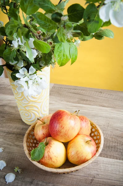Hermosas manzanas maduras y ramas de un manzano floreciente en —  Fotos de Stock