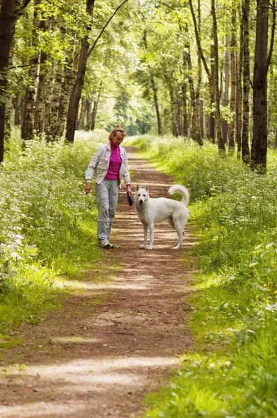 Kobieta spaceruje z psem w lesie. — Zdjęcie stockowe