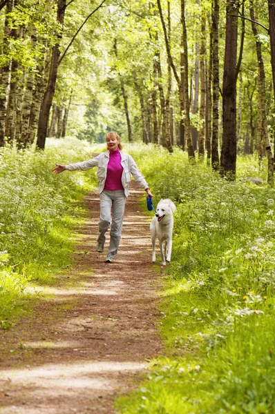 La femme marche avec un chien dans un bois — Photo