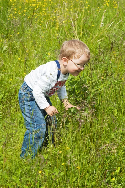 Der kleine Junge fängt Heuschrecken im Gras — Stockfoto