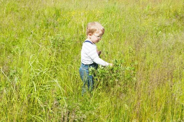 Der kleine Junge fängt Heuschrecken im Gras — Stockfoto