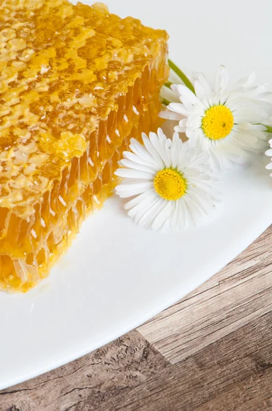 Honeycomb with daisies on white plate — Stock Photo, Image