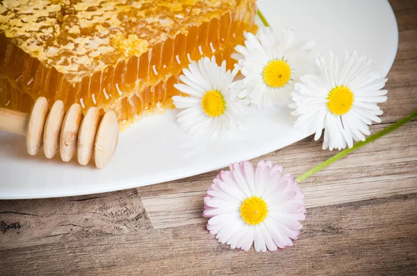 Favo de mel com margaridas na placa branca — Fotografia de Stock