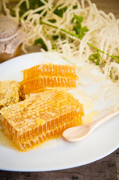 Nid d'abeille avec marguerites sur plaque blanche — Photo