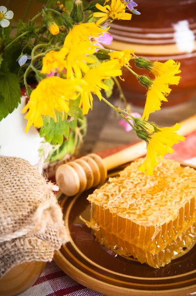 Natureza morta com favos de mel, flores e pote — Fotografia de Stock