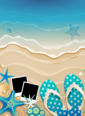 Summer background with shells clipart