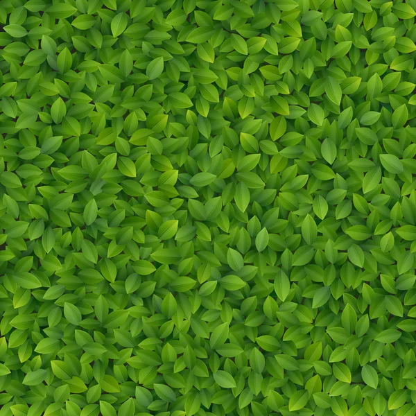 Textura hojas verdes. — Vector de stock