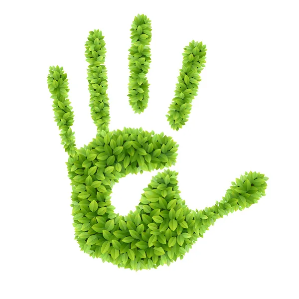Mão de folhas verdes . — Vetor de Stock