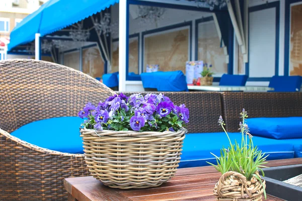 Bloemen op de tafel in de Europese terrasjes. — Stockfoto