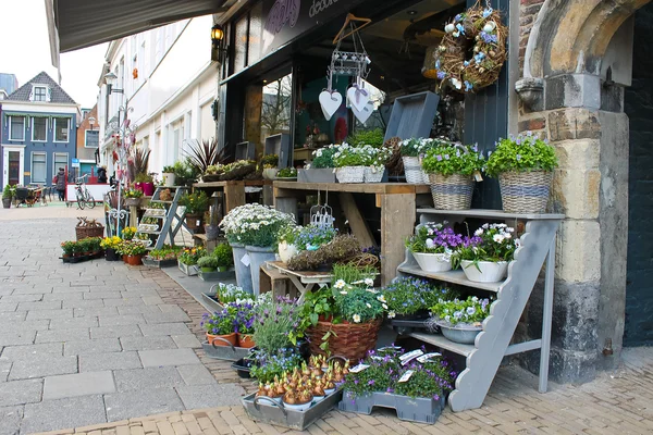 Blomsteraffär i gorinchem. Nederländerna — Stockfoto