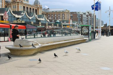 scheveningen Lahey çıkabilir. Hollanda, den haag