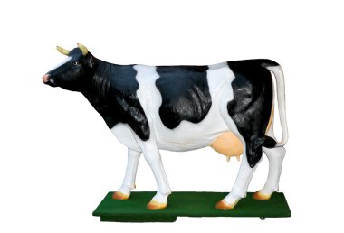 Full-size dummy of cow breed Dutch clipart