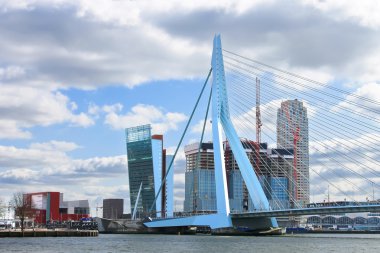 Erasmus Bridge in Rotterdam . Netherlands clipart