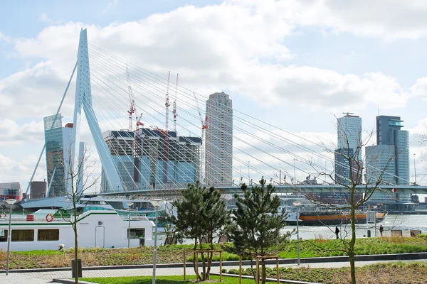 Le parc et la digue près du pont Erasmus de Rotterdam. Ne — Photo