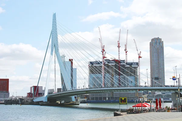 Мост Эразмус в Роттердаме. Нидерланды — стоковое фото