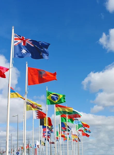 Διεθνών σημαίες στην προκυμαία του Ρότερνταμ. Ολλανδία. Εικόνα Αρχείου