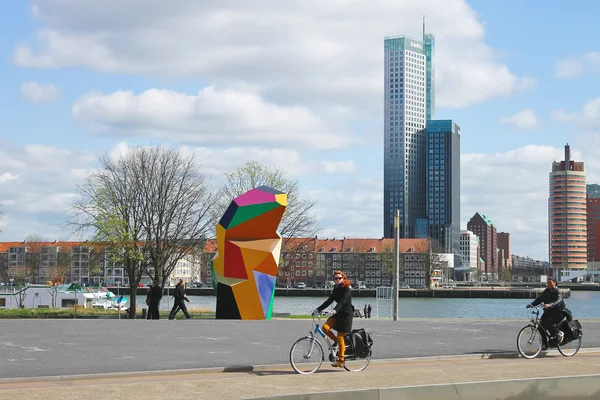 Parque y terraplén en Rotterdam. Países Bajos — Foto de Stock