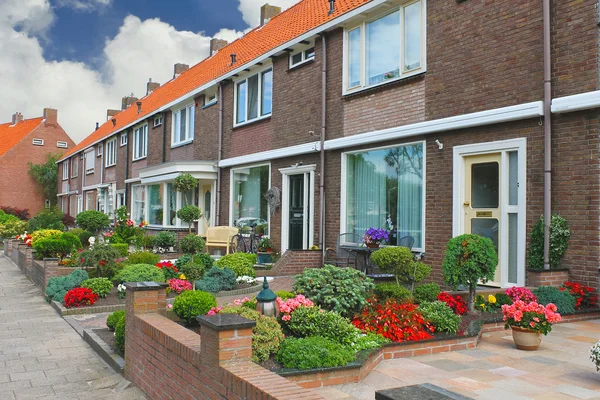 Liten trädgård framför den holländska hus. Nederländerna — Stockfoto