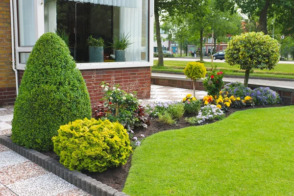 Small garden in front of the Dutch house. Netherlands — Stock Photo, Image