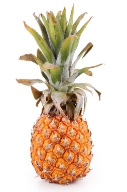 izole ananas