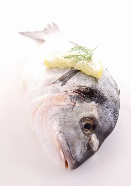 stock image Raw fish