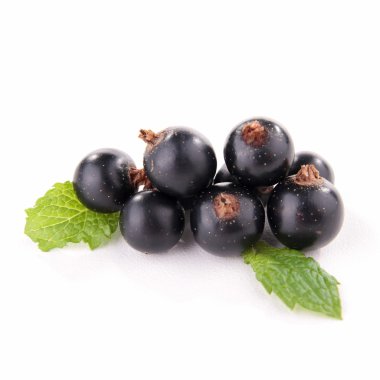 izole blackcurrant