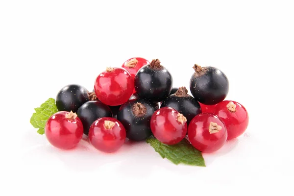 Black and red currant — Stock Photo, Image