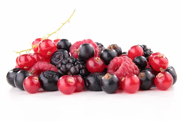 Sortiment av bär frukt — Stockfoto