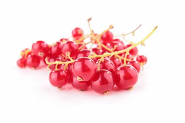 Isolated redcurrant clipart