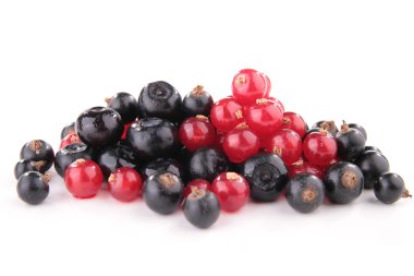 meyveleri izole çeşitler