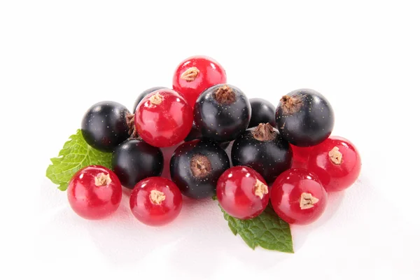 Isolated blackcurrant and redcurrant — Stock Photo, Image