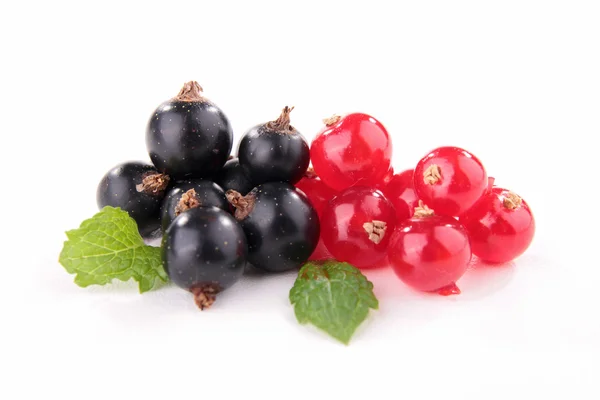 Isolated blackcurrant and redcurrant — Stock Photo, Image