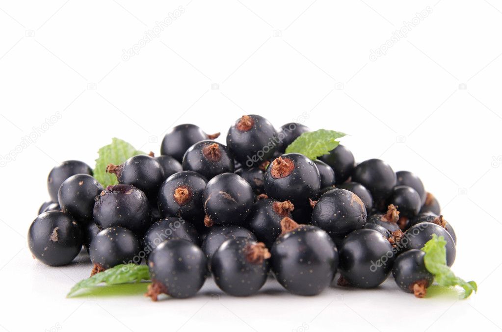 Isolated blackcurrant