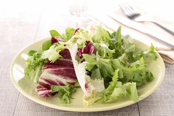 Assiette de salade fraîche — Photo