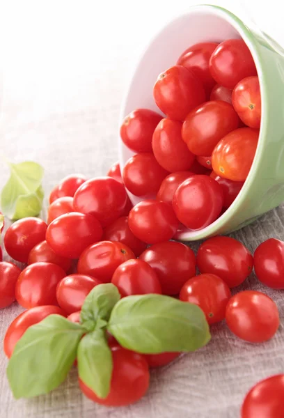 Weinig cherry tomaat — Stockfoto