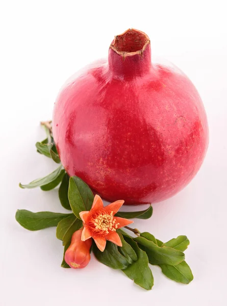 Granatapfel und Blume — Stockfoto
