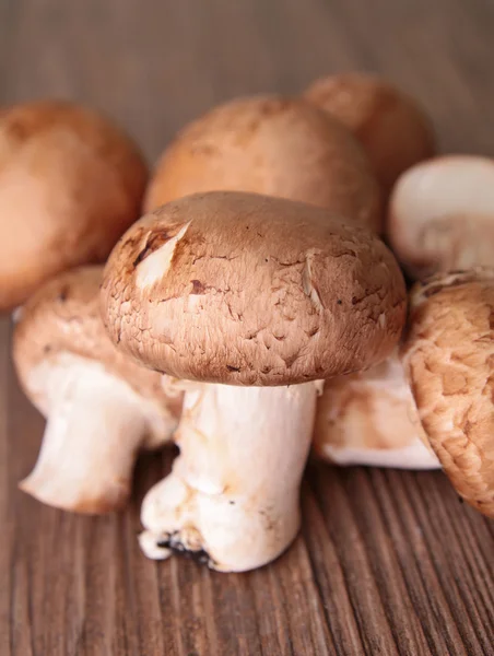 Група грибів — стокове фото