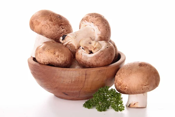 Isolated mushrooms and parsley — Stock Photo, Image