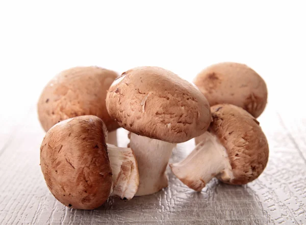 Grupo de cogumelos crus — Fotografia de Stock