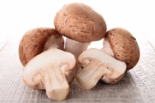 stock image Group of raw mushrooms