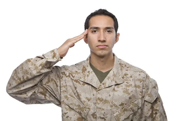 Latino manlig soldat i kamouflage saluter Stockbild
